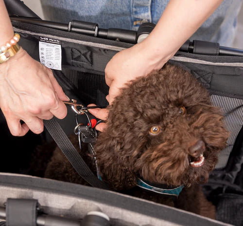 Carlett Cube P kjæledyrvogn