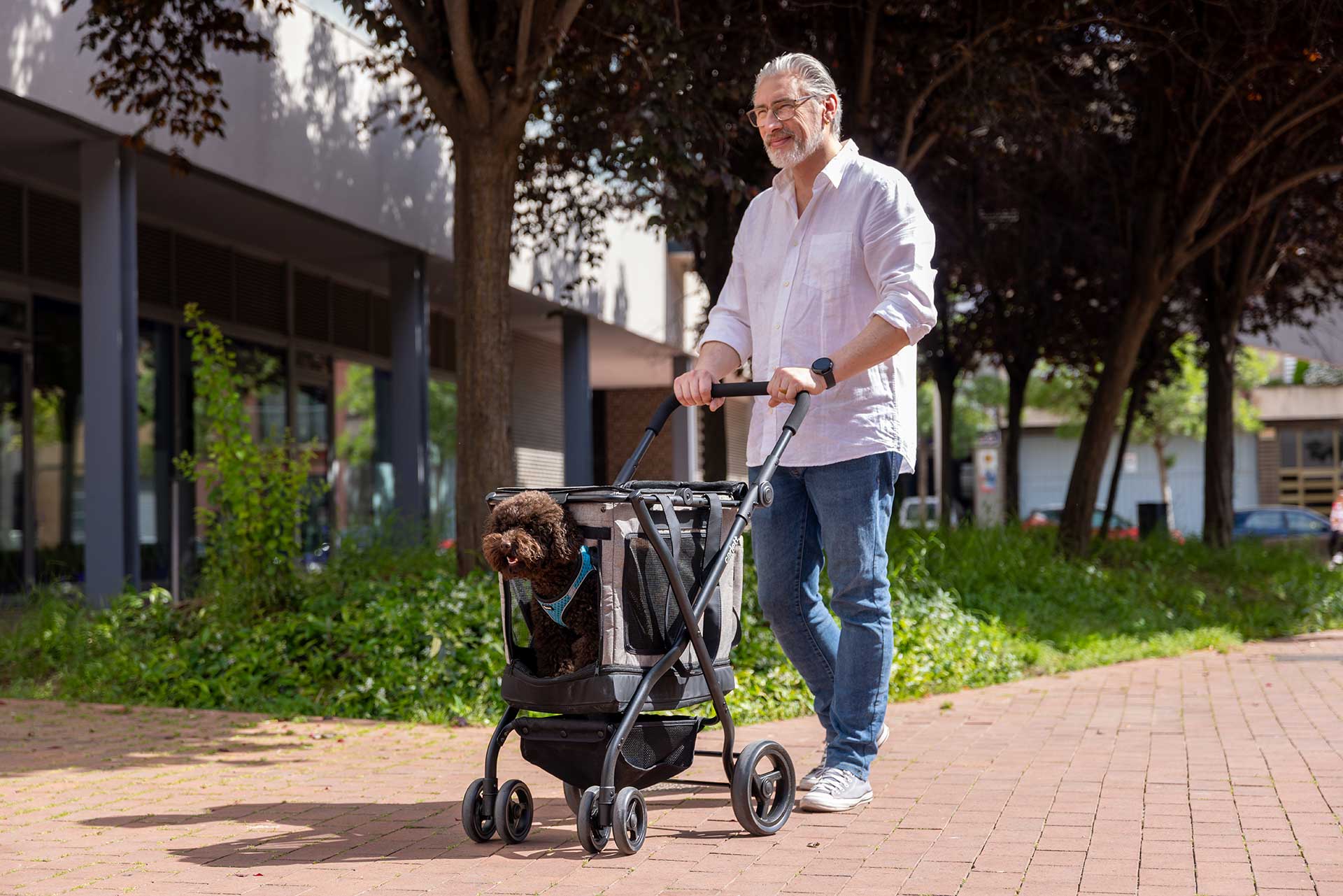 Carlett Cube P kjæledyrvogn