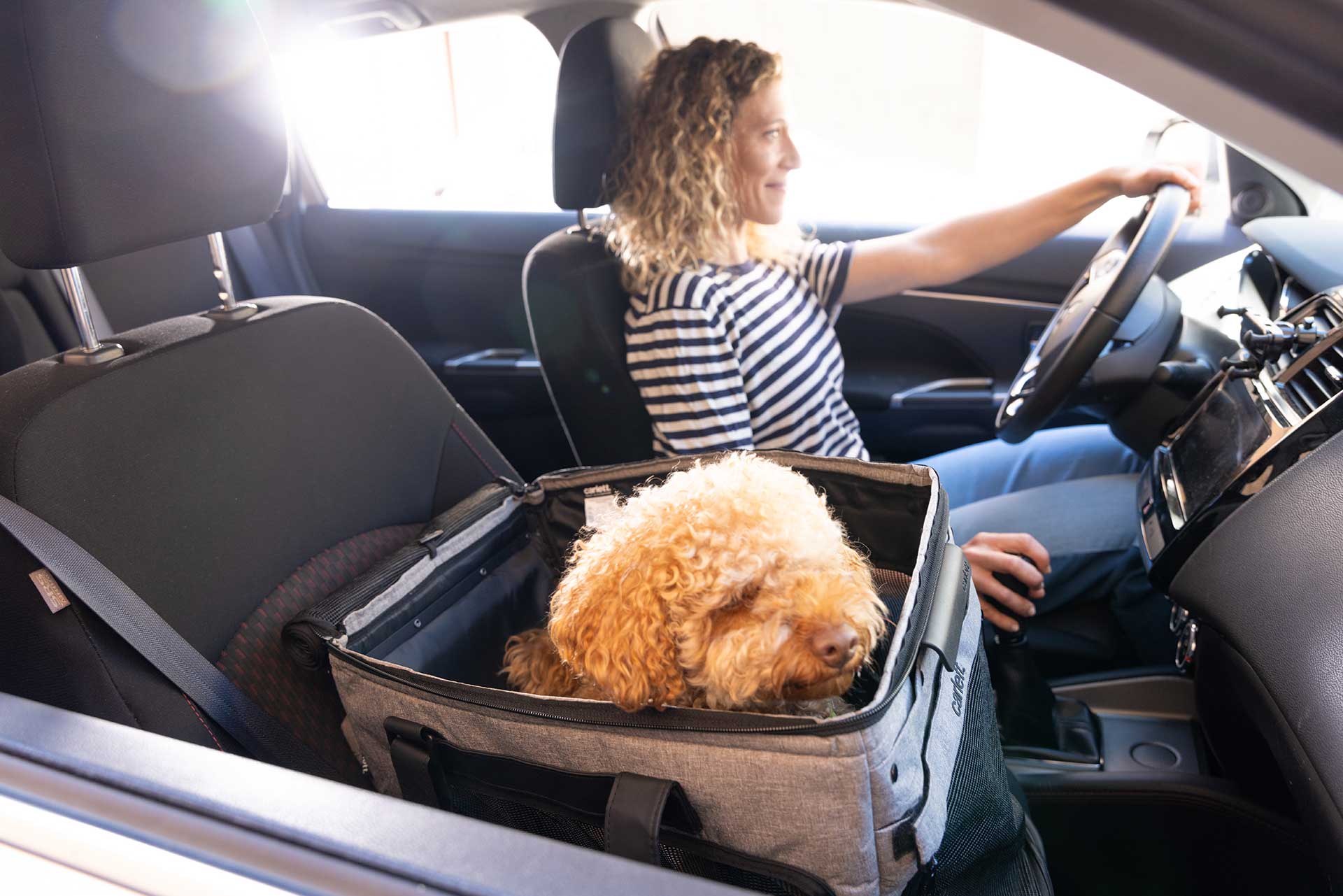 Carlett Cube P kjæledyrvogn